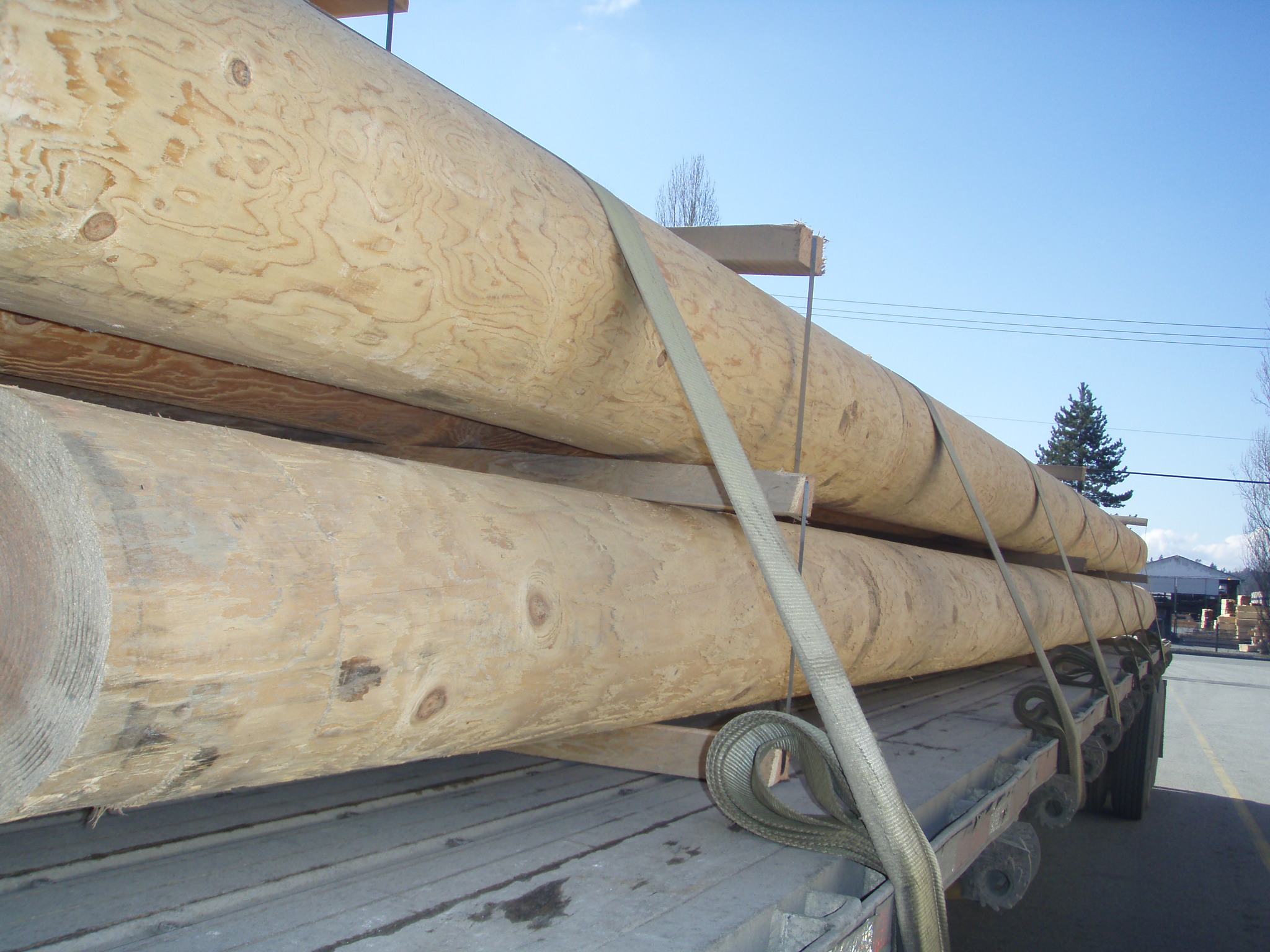 Cedar and Douglas Fir Logs PowerWood Corp. Cedar and Douglas Fir Logs PowerWood Corp.