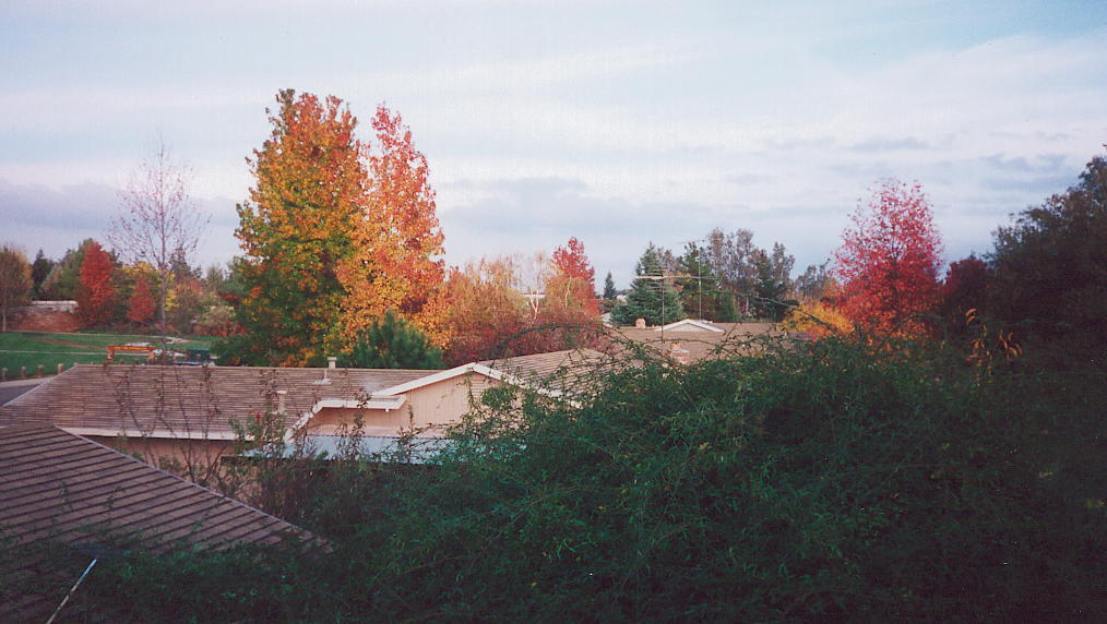 Seasonal Pictures of Loomis Three