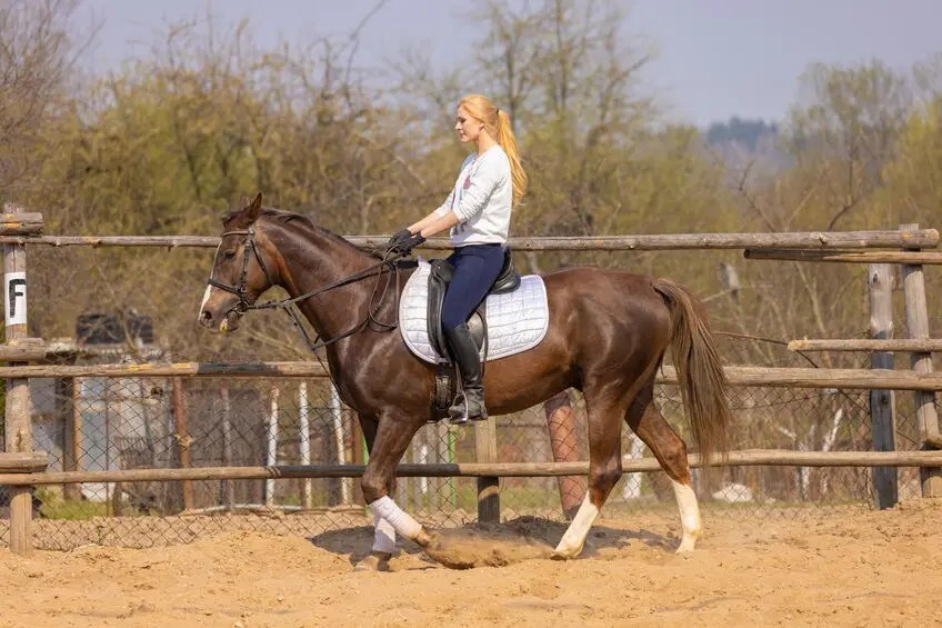 The Benefits of Horseback Riding Personalized Products Corp
