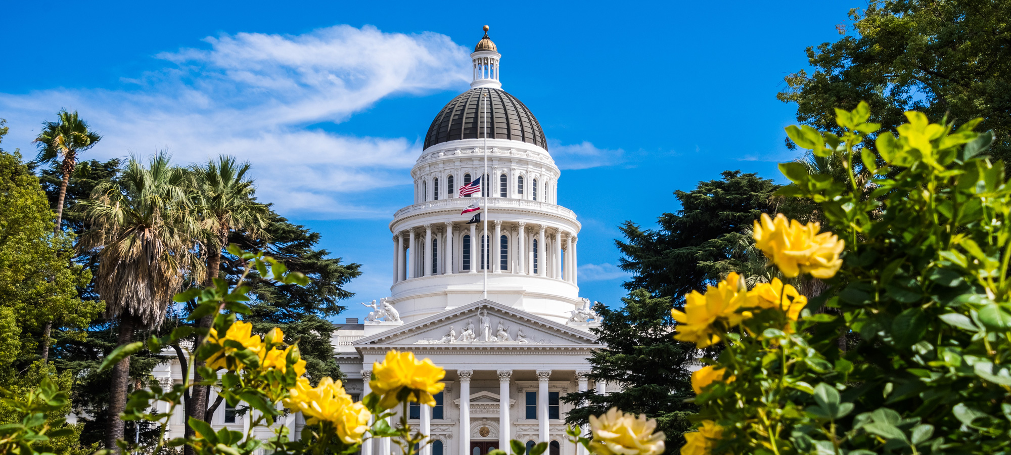 Californias State Capital