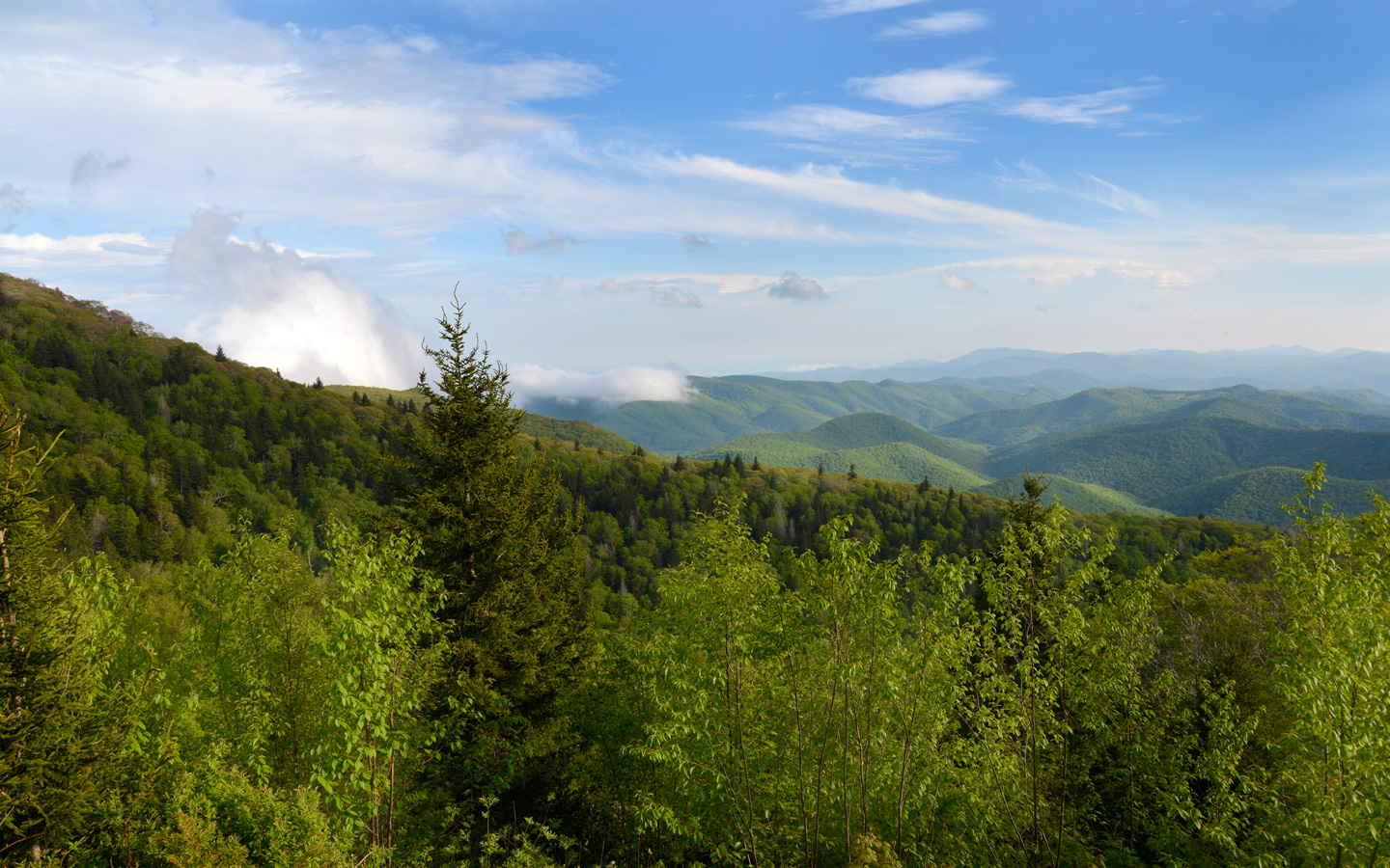 Contact Us Preferred Properties of Highlands, Inc