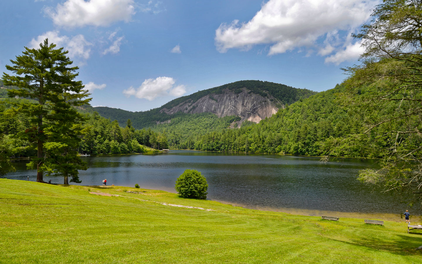 Cashiers Area Information