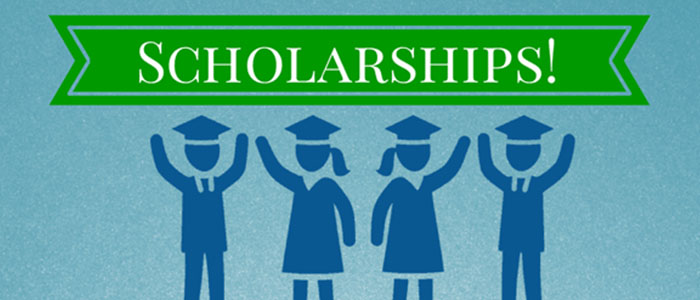 International Scholarships for Engineering Students PPRO EED