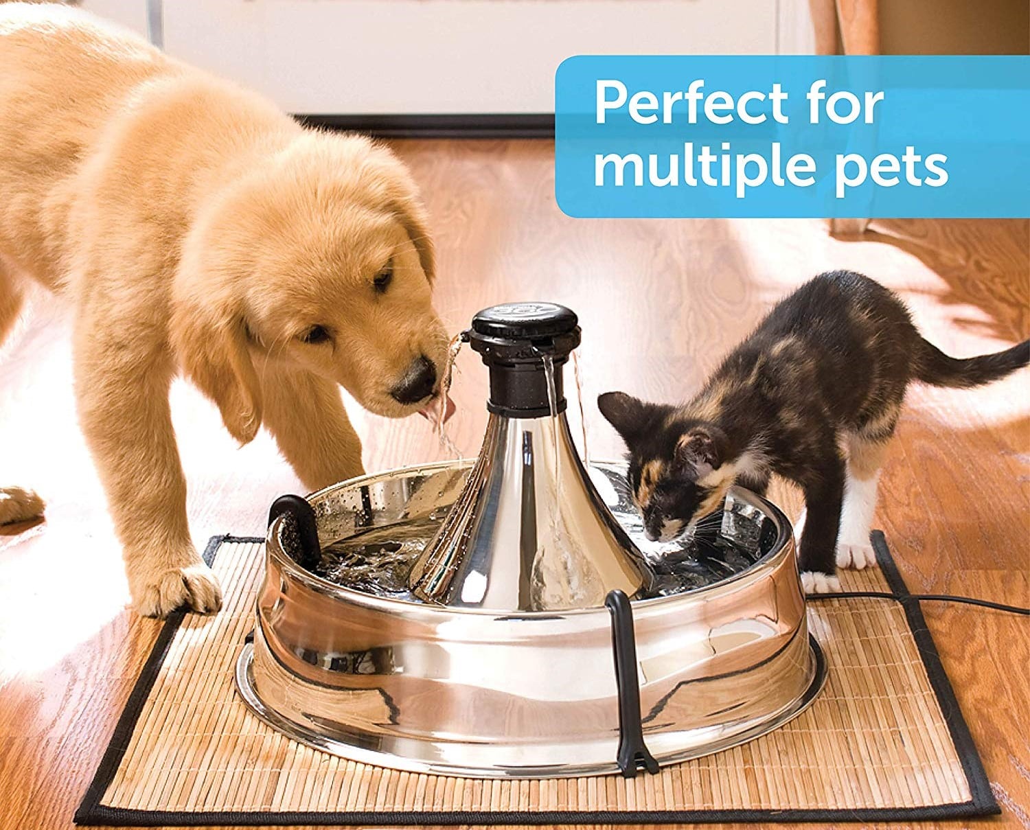 Top 10 Best Pet Water Fountains in 2022 Reviews Buying Guide