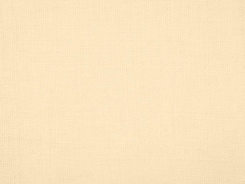 Solid Beige Quality Backgrounds for Powerpoint Templates PPT Backgrounds
