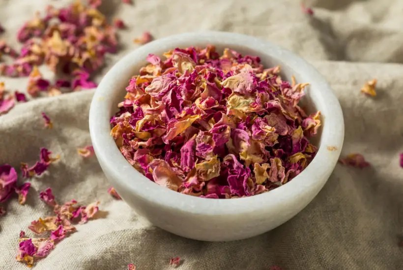 Dried Rose Petal Flower Soap Recipe Practical Frugality