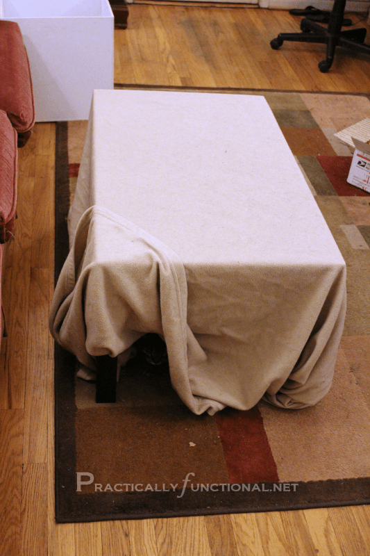 Blanket Fort Are Your Pets Afraid Of Thunderstorms?