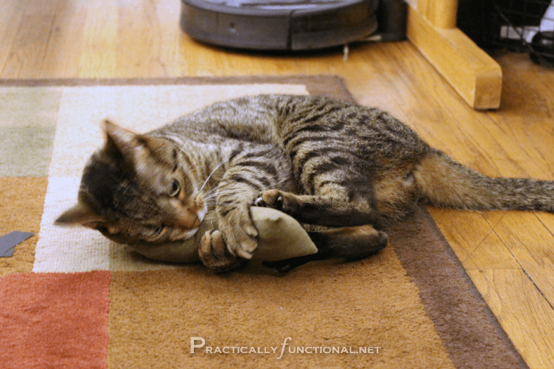 DIY Refillable Catnip Toys {Caturday 7} Practically Functional