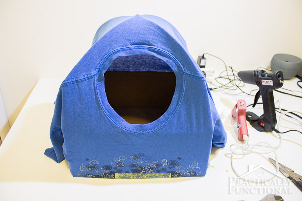 DIY Cat Tent Bed