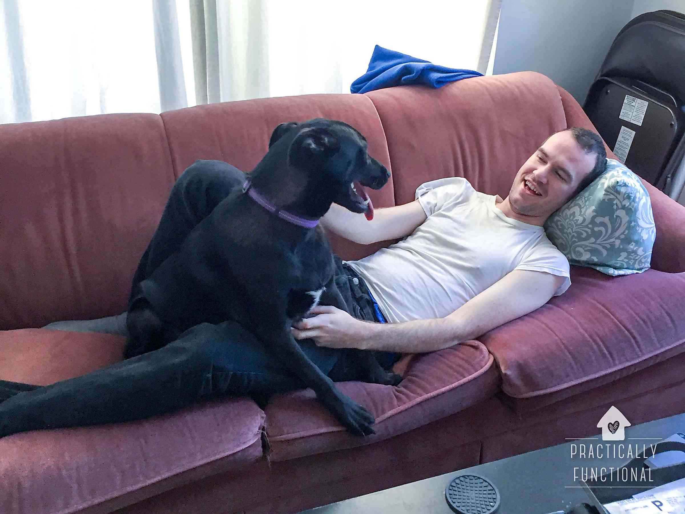 How To Show Your Dog You Love Them