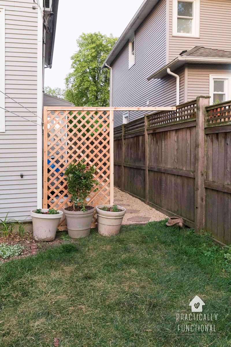 Build A Simple DIY Trellis Screen To Hide Ugly Areas In Your Backyard!