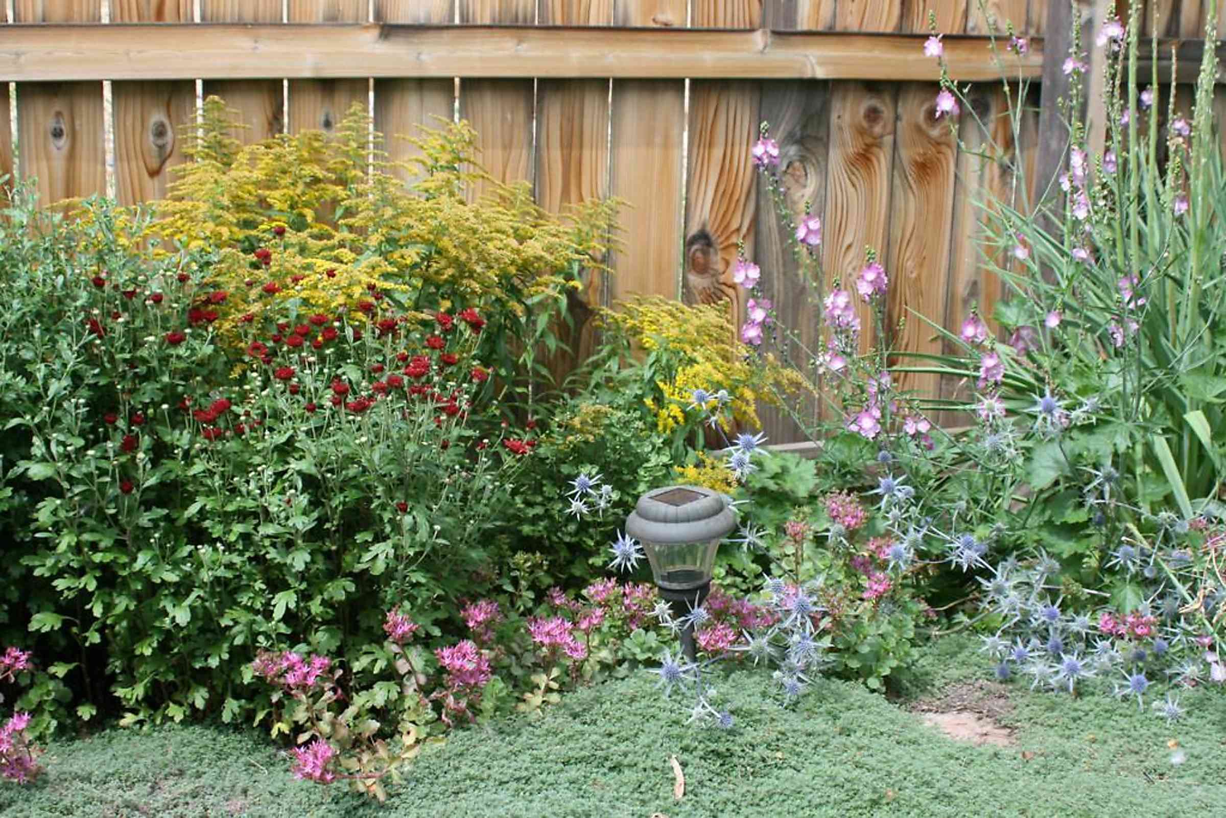 Create An English Cottage Garden In Your Backyard!