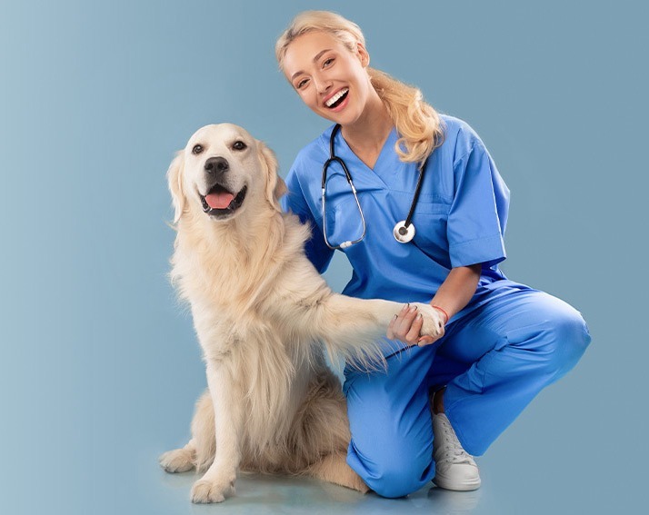 Marketing Ideas for Veterinary Practices to Gain More Patients