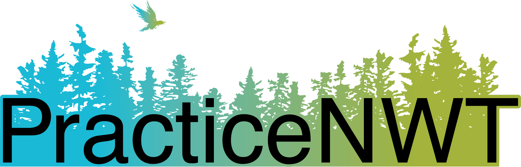 Northern Living Allowance Practice NWT