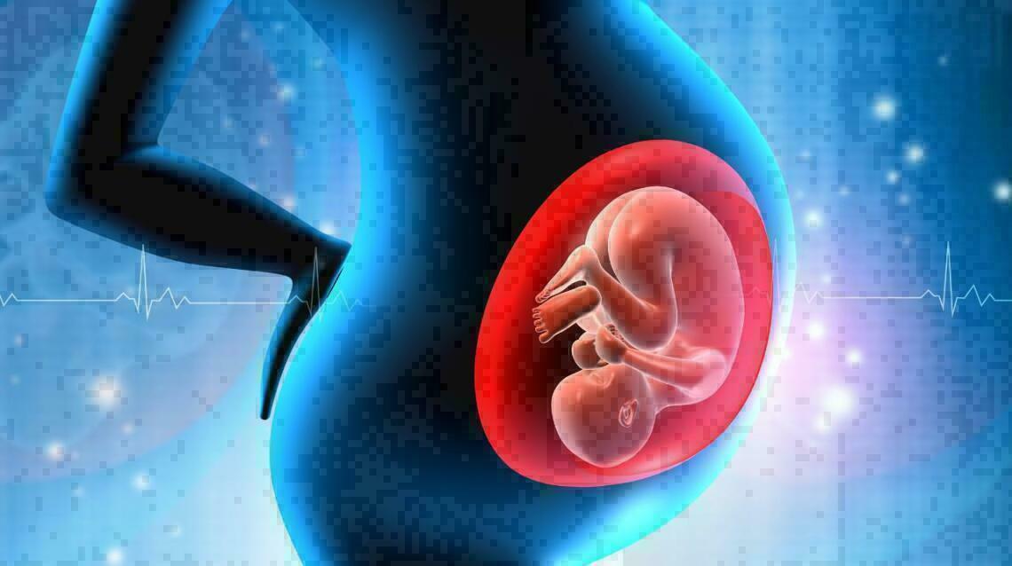 Why Amniotic Fluid Is Important For a Healthy Pregnancy?