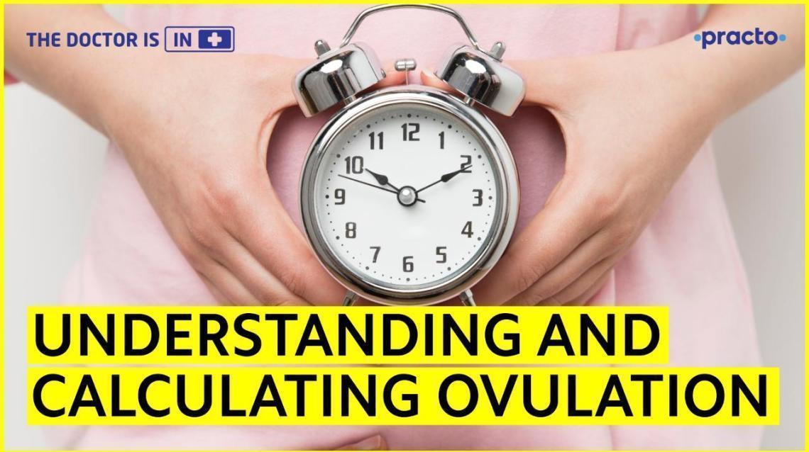 Ovulation Symptoms The Best Time to Conceive