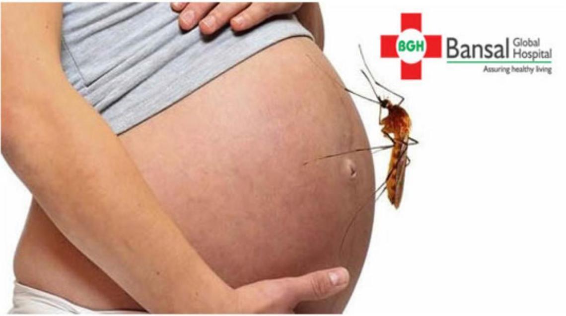 Pregnancy Diaries Pregnant Women & Insect Bites