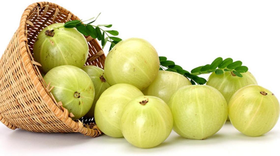 Amla The Vitamin C Powerhouse