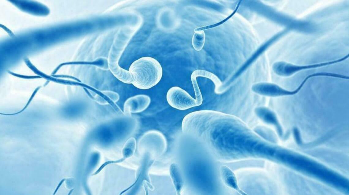 How Low Sperm Count Affects My Fertility?