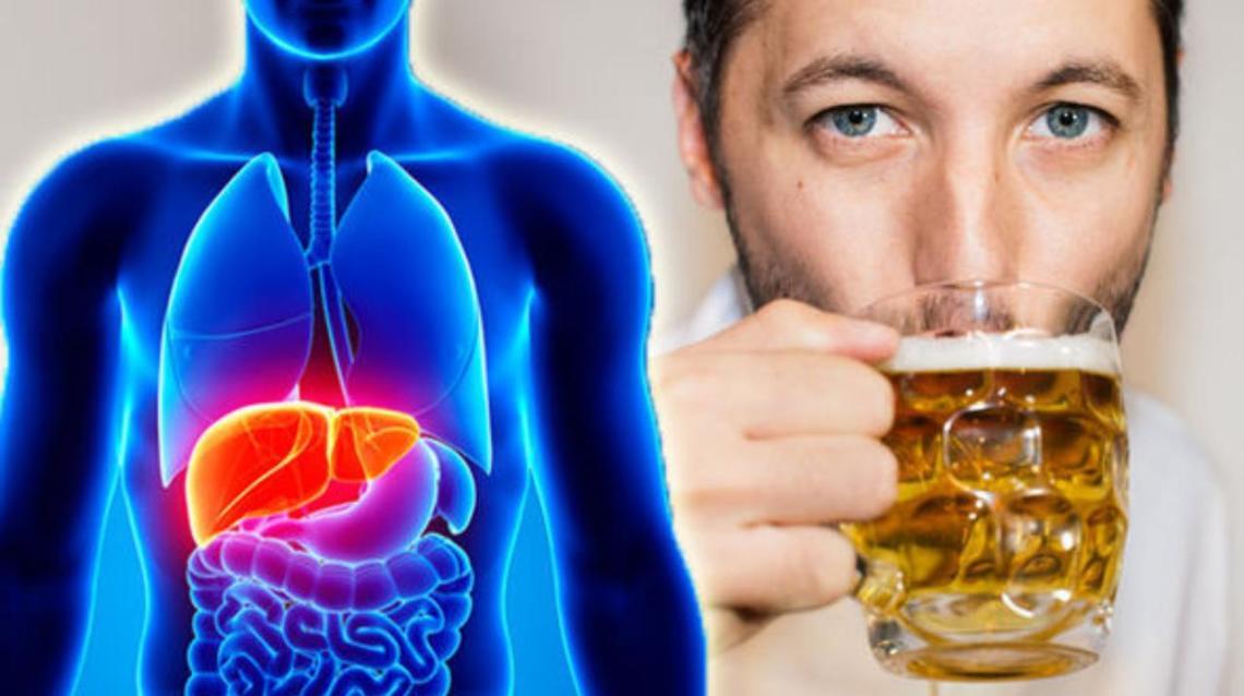 Discovering Alcohol Through Your Liver’s Lens Health 101