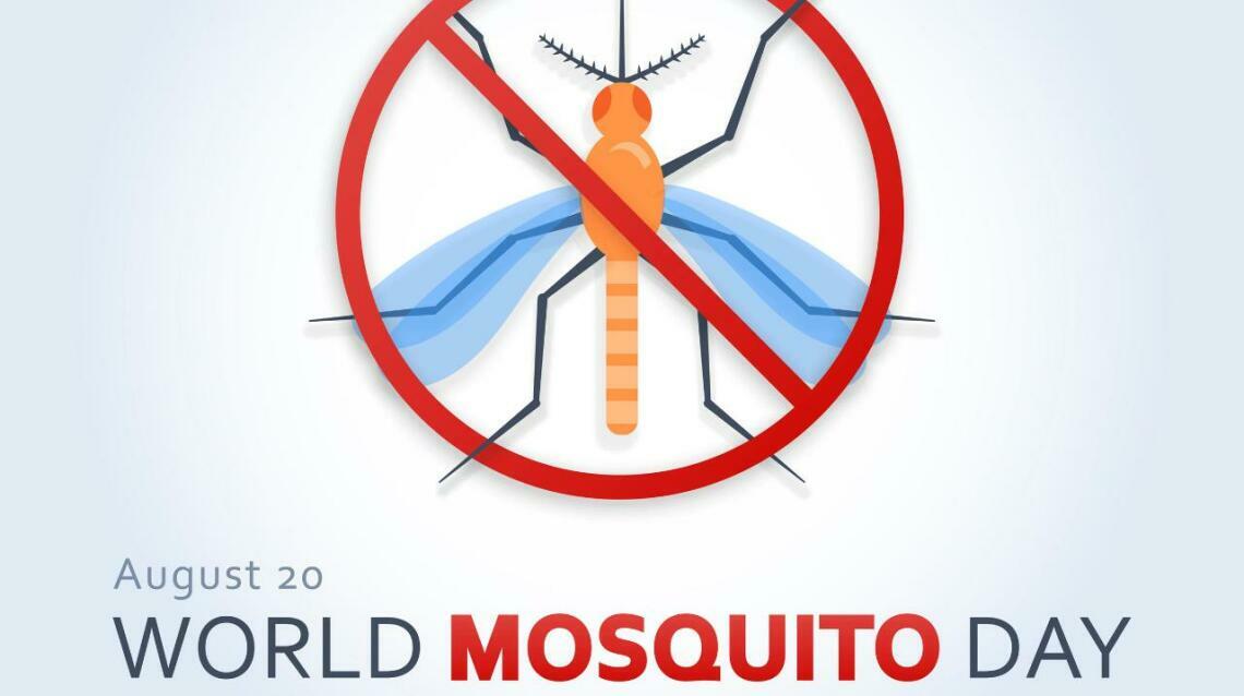 World Mosquito Day 2021