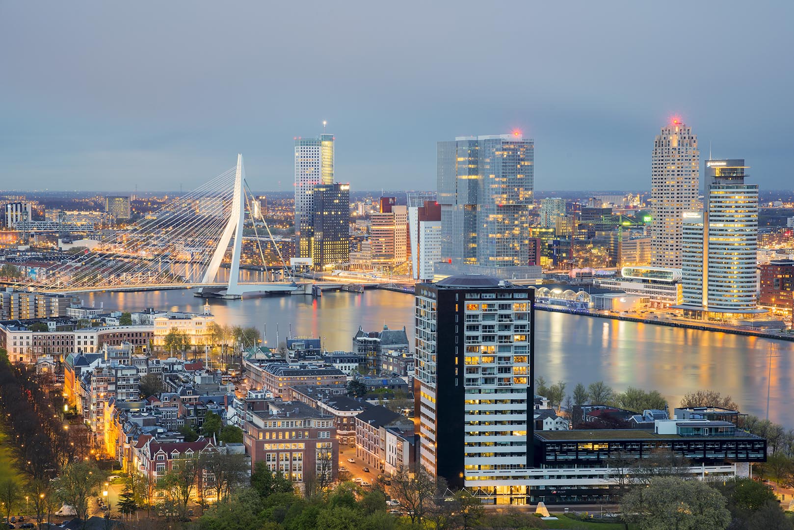 New team and new Office in Rotterdam, Netherlands boosts Praesto