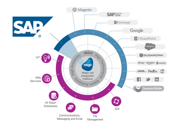 Simplify Your SAP Training with Videos Prague Post