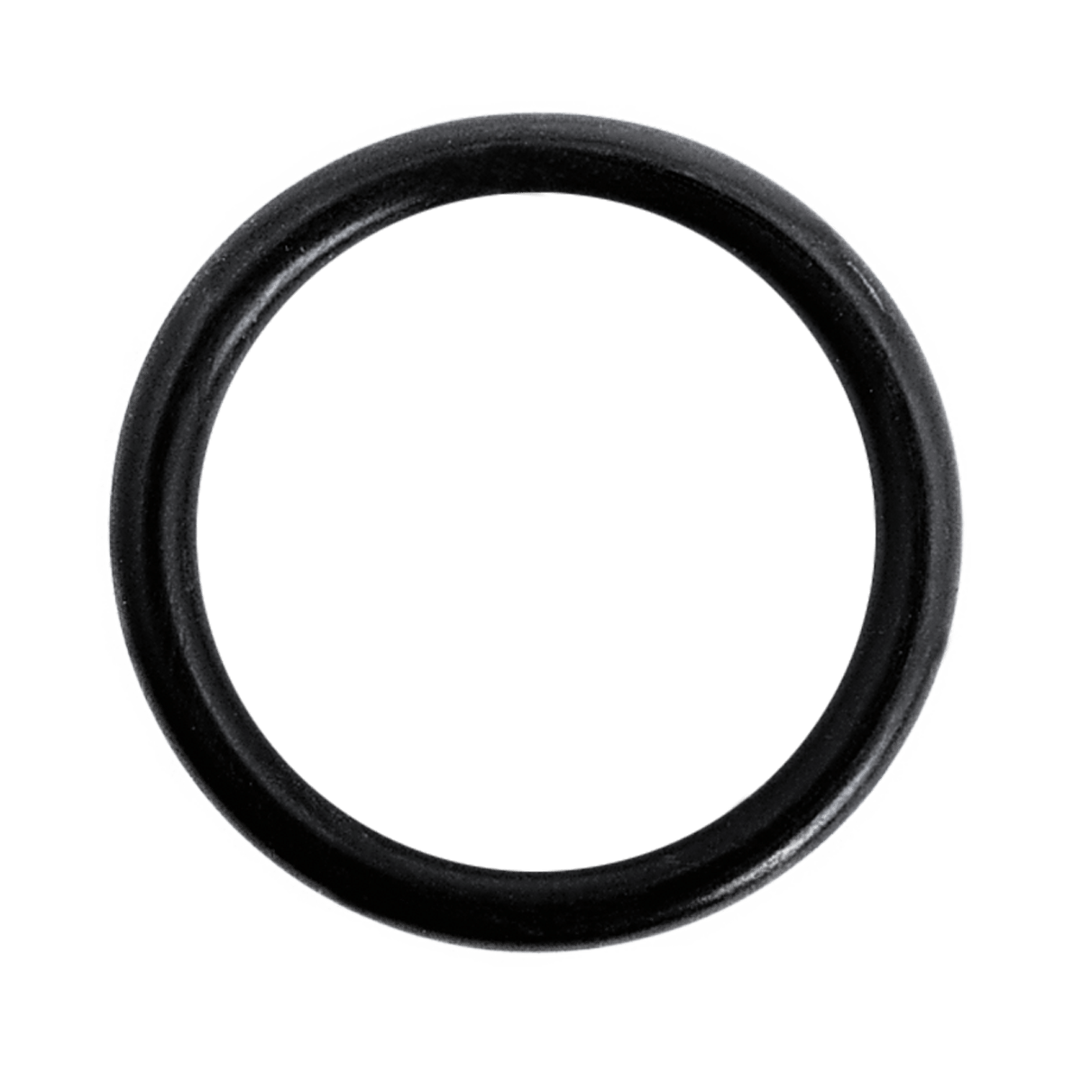 IBG® ORings for Unions EPDM Praher Plastics Austria GmbH