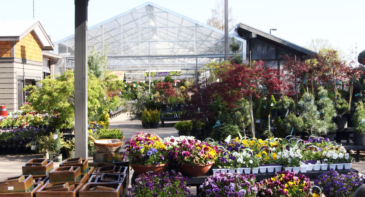 Garden Center & Nursery Prairie Gardens Champaign, IL