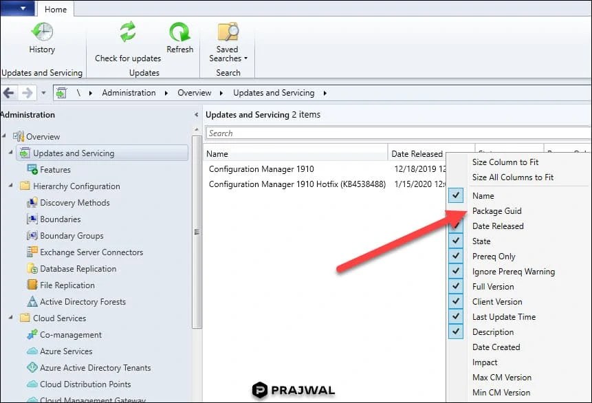 How to find the Package GUID of SCCM Update