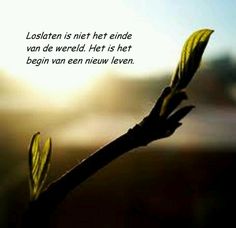 Loslaten | Praktijk Prisma