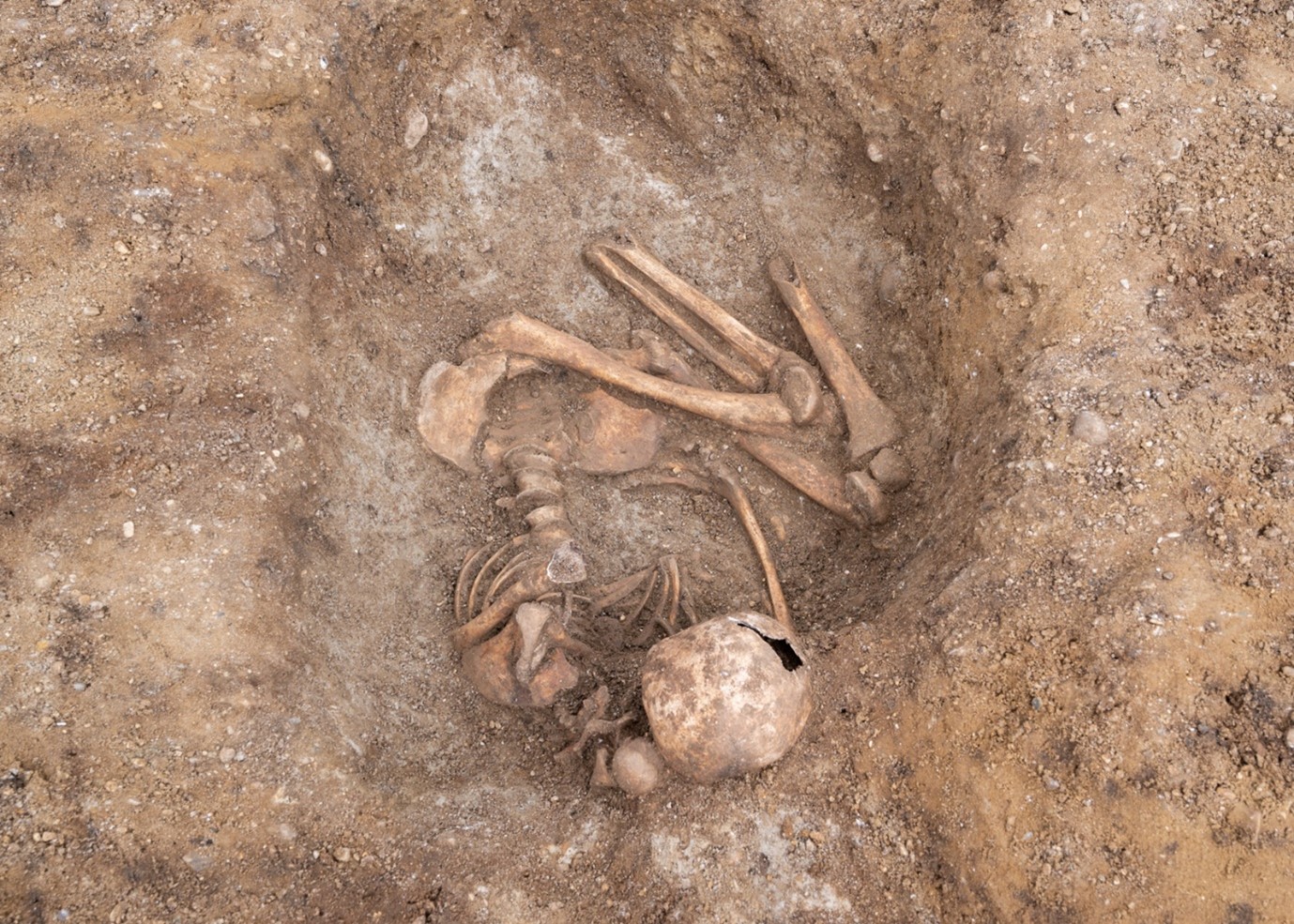 3D Bronze Age Crouched Burial Pre Construct Archaeology