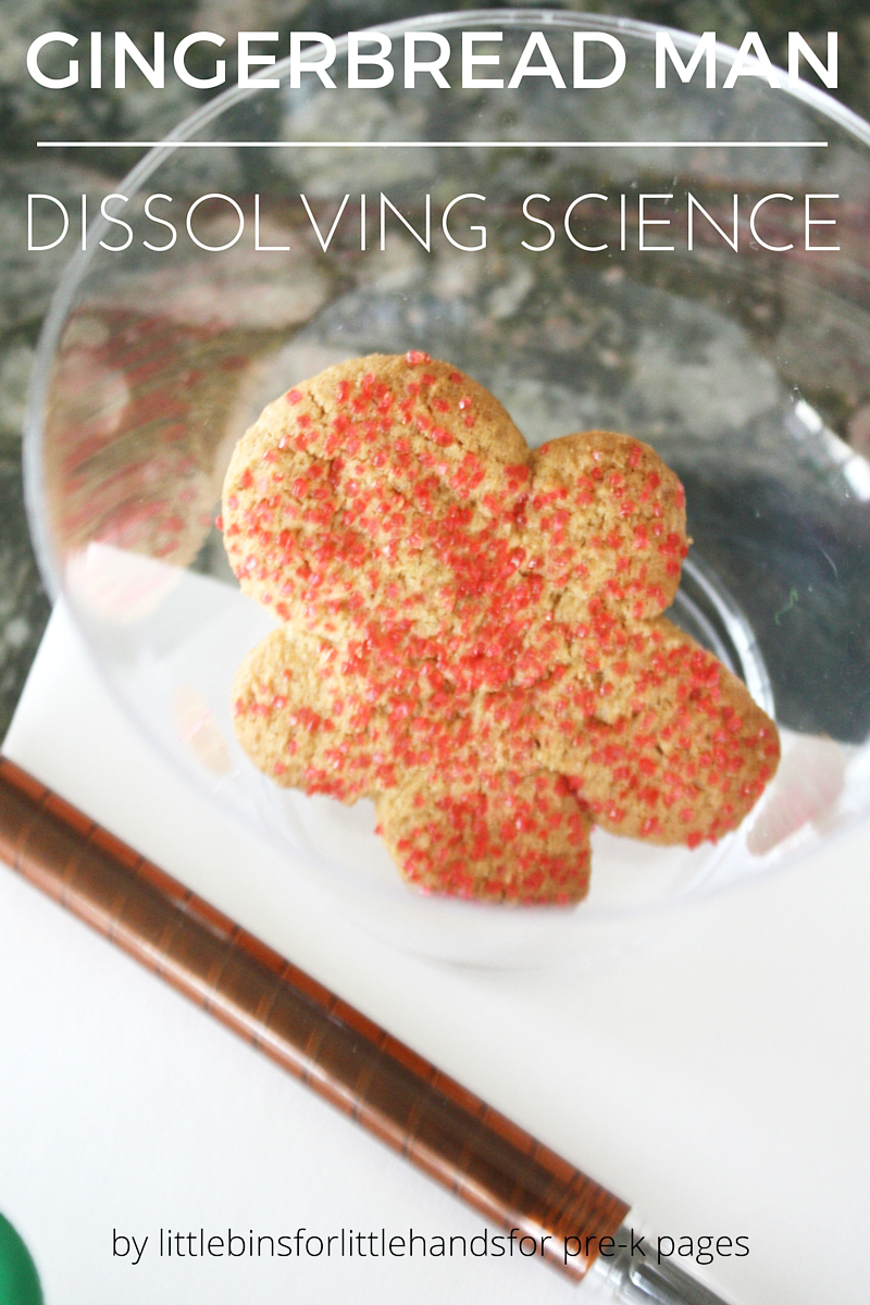 Gingerbread Man Science Experiment for Preschool PreK Pages