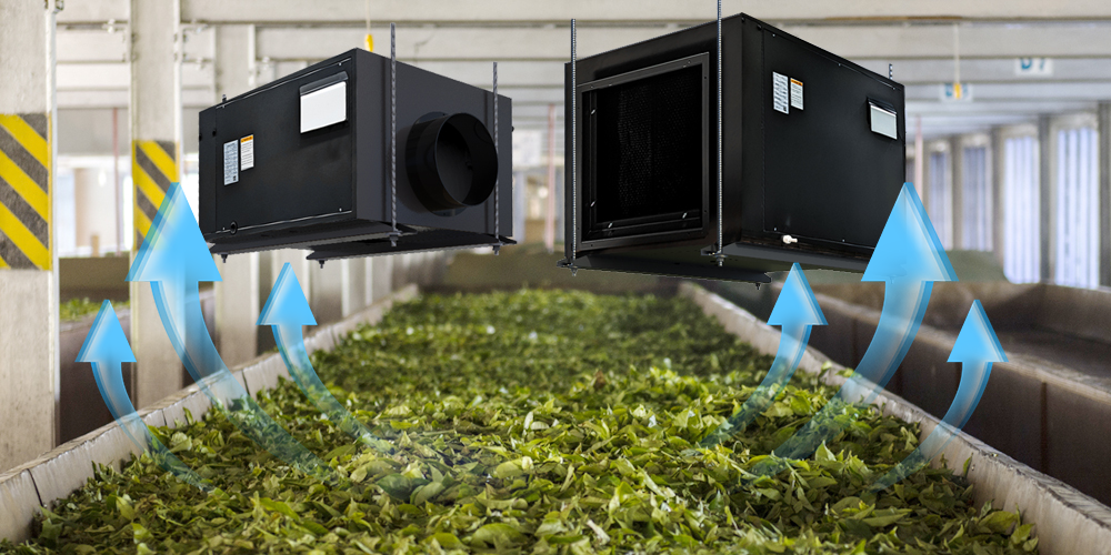 Dehumidifiers for Tea Manufacturing Packaging and Storing Preair