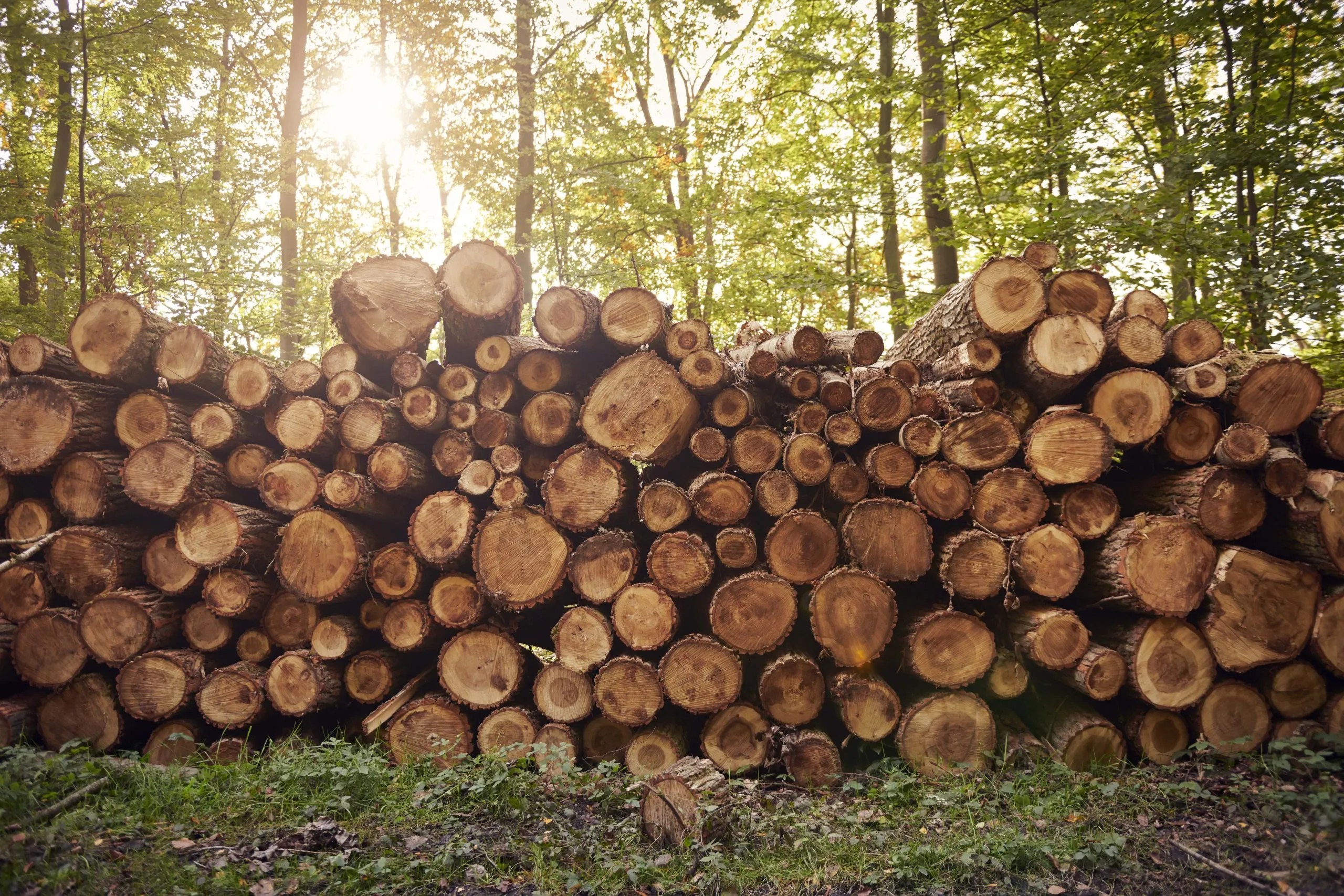 Log And Timber Home Blog | PrecisionCraft