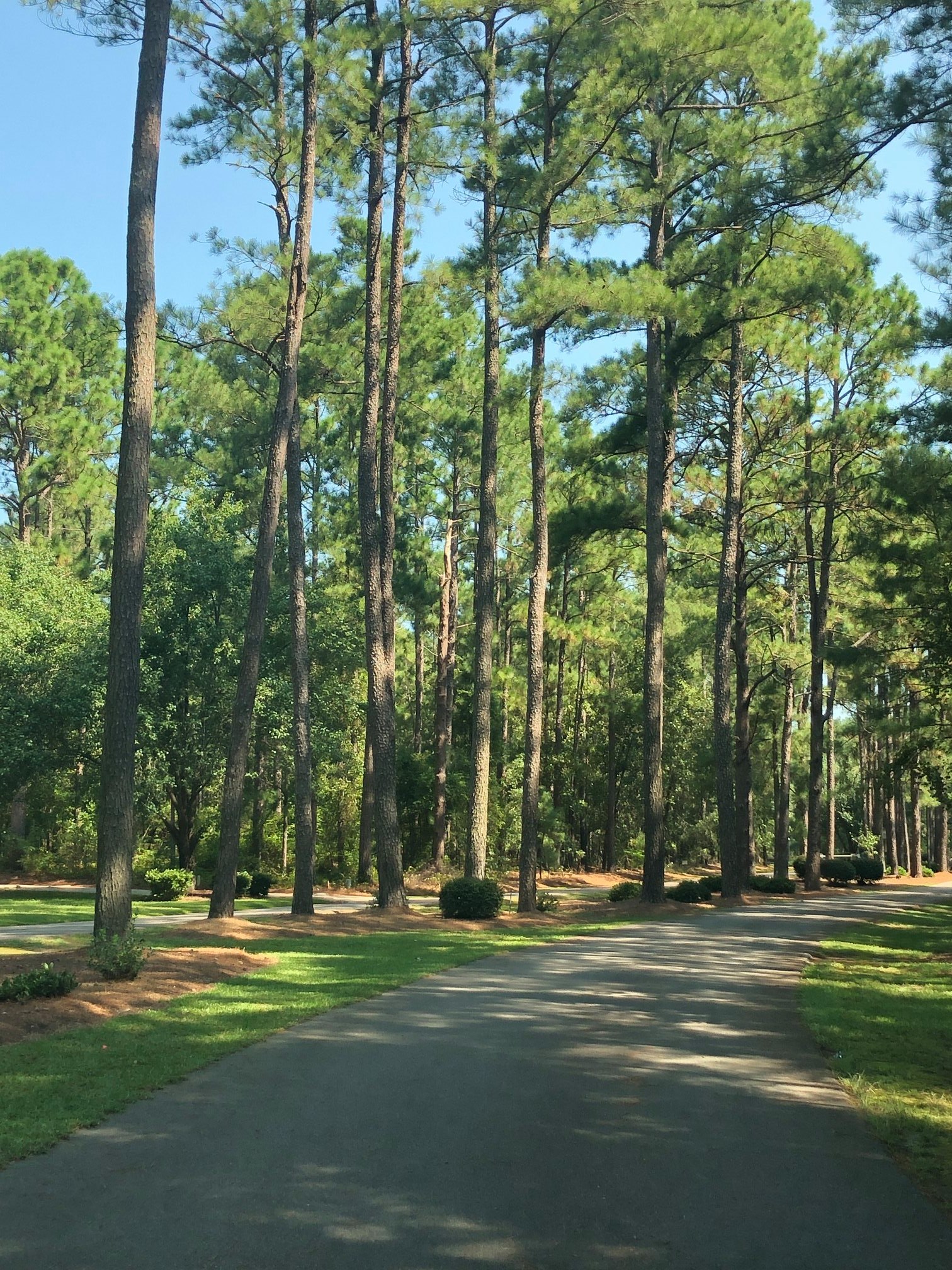 ***Available for Sale*** 29861 Pinedale Ct Wagram, NC 28396 (Deercroft