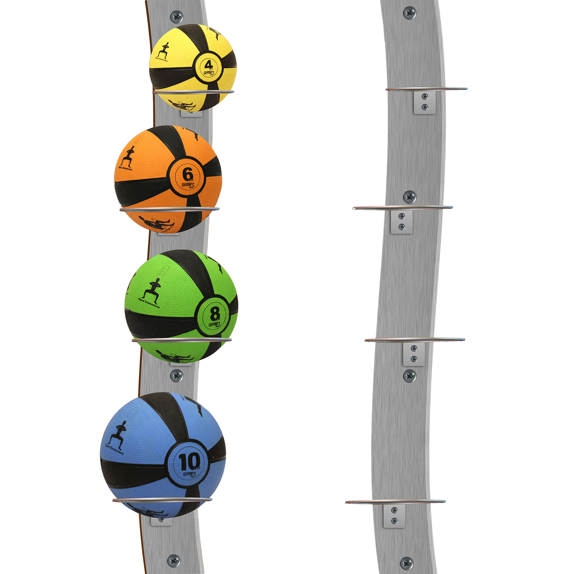 WallMounted Medicine Ball Rack Precision Fitness Equipment