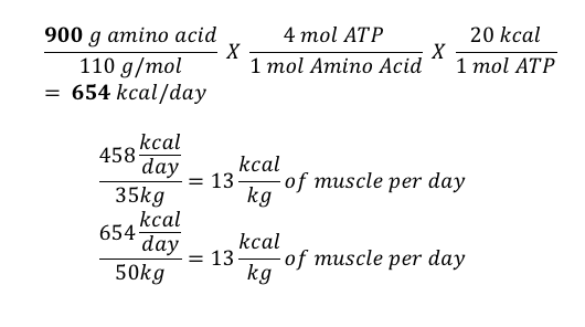 Cardio vs. weights Which is really better for fat loss? Precision