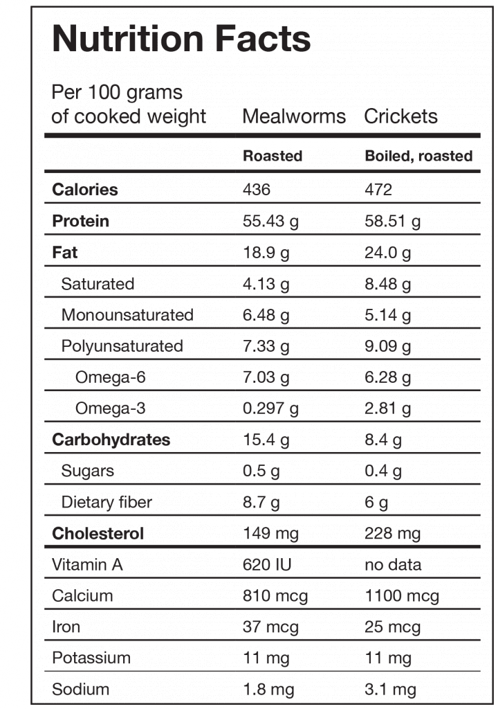 Edible bugs and insects Are these high protein critters the future of food? Precision Nutrition