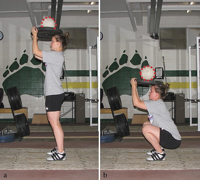 All About The Squat Precision Nutrition