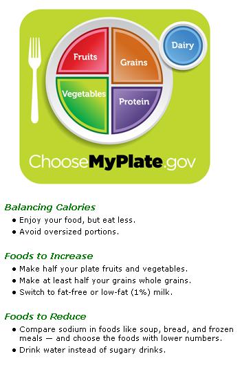 Better Version Of "My Plate": Precision Nutrition's Eating Guidelines For Clients. - Precision Nutrition