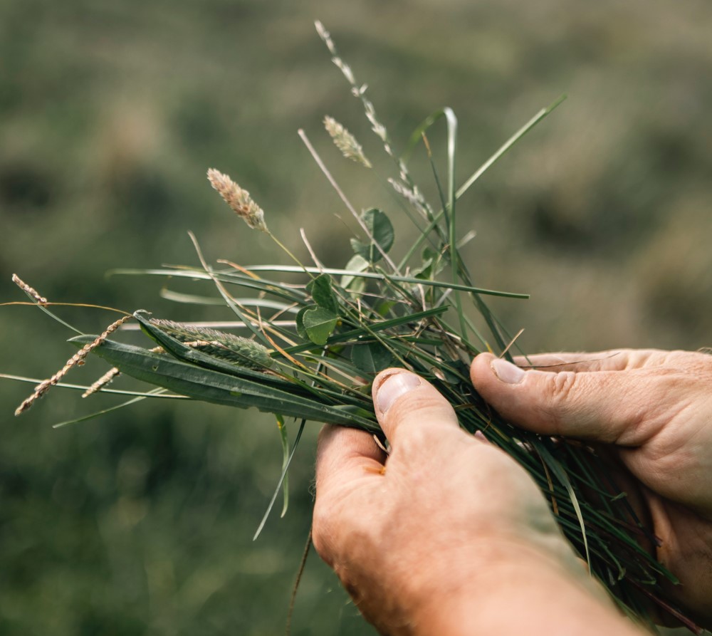 Drilling into the data on soil carbon Dr Jori Bremer joins Precision
