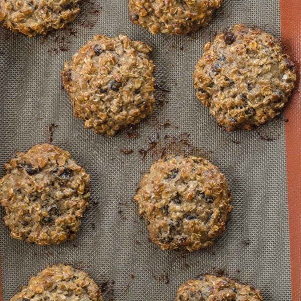 Protein Cookies Recipe Precision Physio