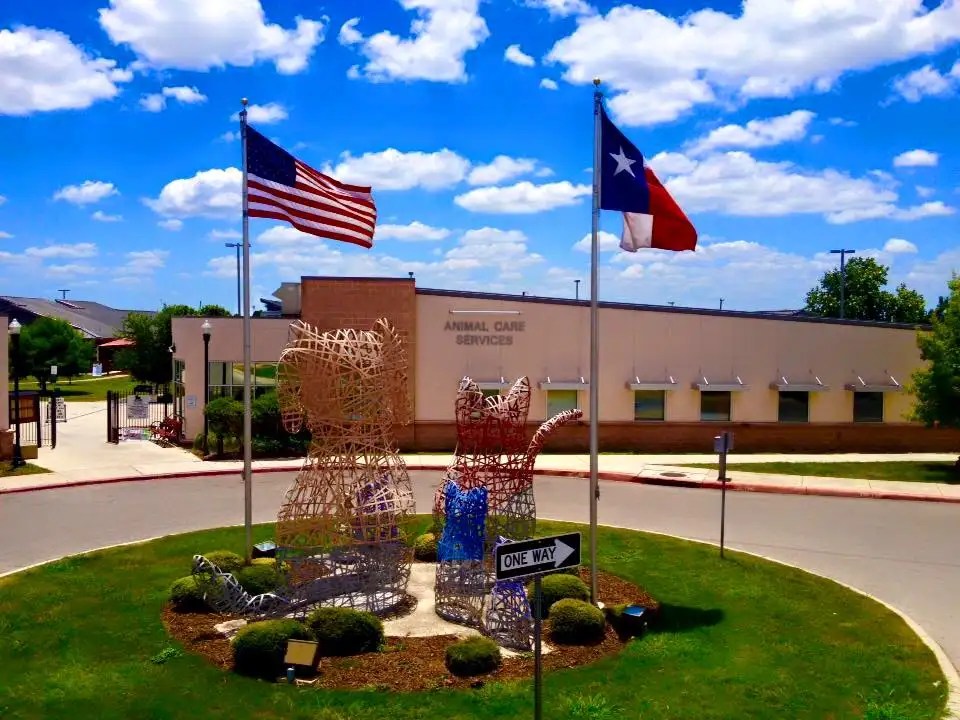 COSA Animal Care Adoption Facility Precision Scheduling Consultants LLC