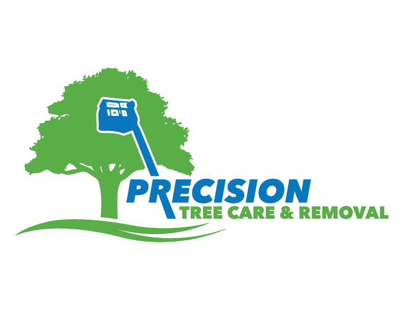 Precision Tree Care and Removal Live Oak, FL