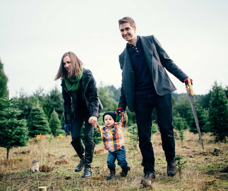 The Ultimate Guide To The Perfect Christmas Tree Tips Twin Cities