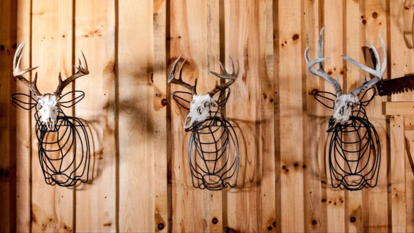 Wire Forming of Steel Deer Skull Mount Precision Wire Products, Inc.