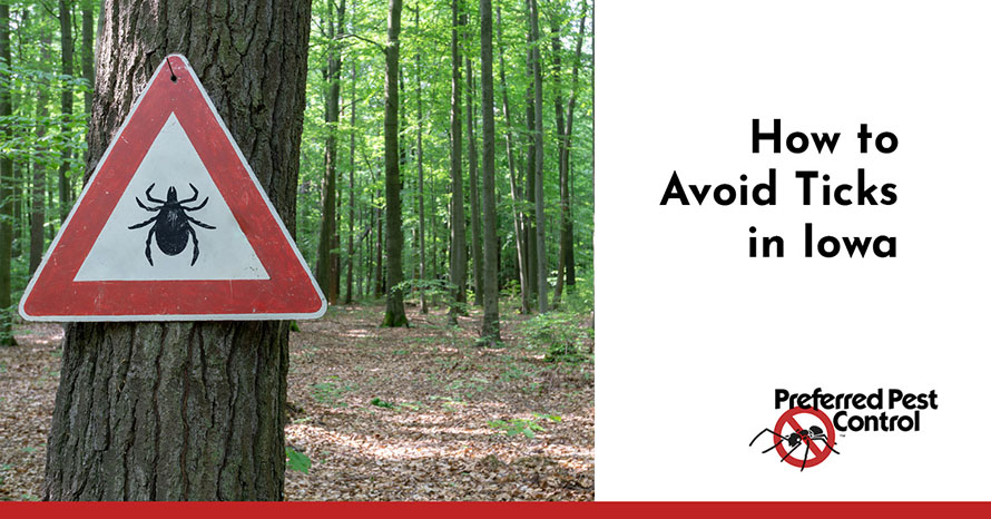 Tips to Avoid Ticks in Iowa Preferred Pest Control