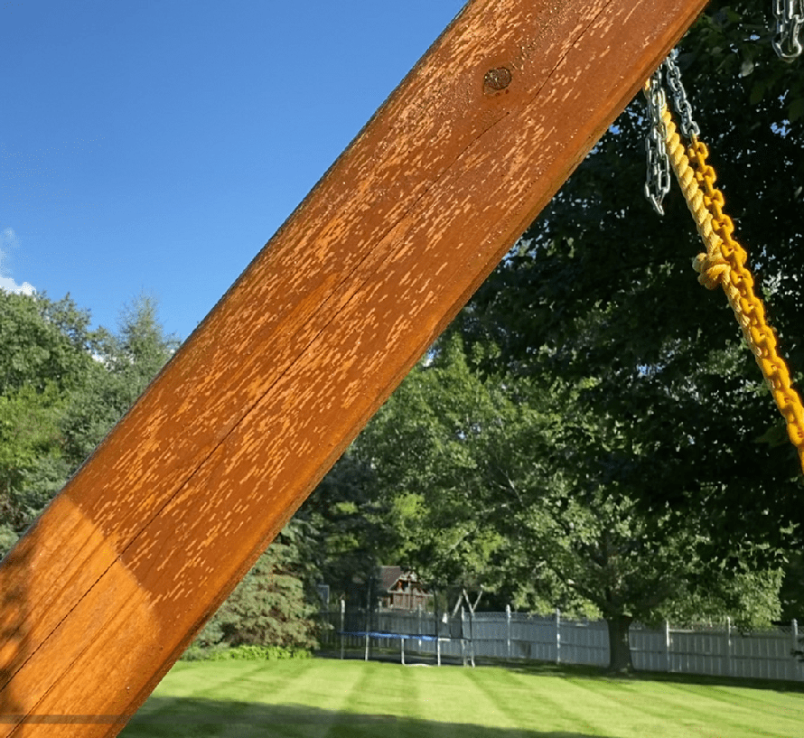 8 Things That Attract Wasps Keep Wasps Away with These Tips