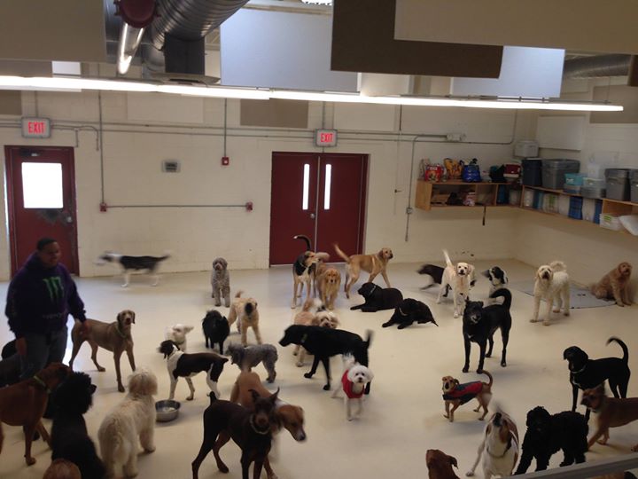 PREFERRED PET CARE, INC Preferred Pet Care, Inc.